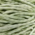 锦绣白如玉白花芸豆种子白绿荚白花扁豆角种籽高产抗病
