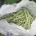 锦绣白如玉白花芸豆种子白绿荚白花扁豆角种籽高产抗病