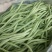 锦绣绿如意无筋豆种子早春种耐热种籽四季豆蔬菜孑农用豆角籽