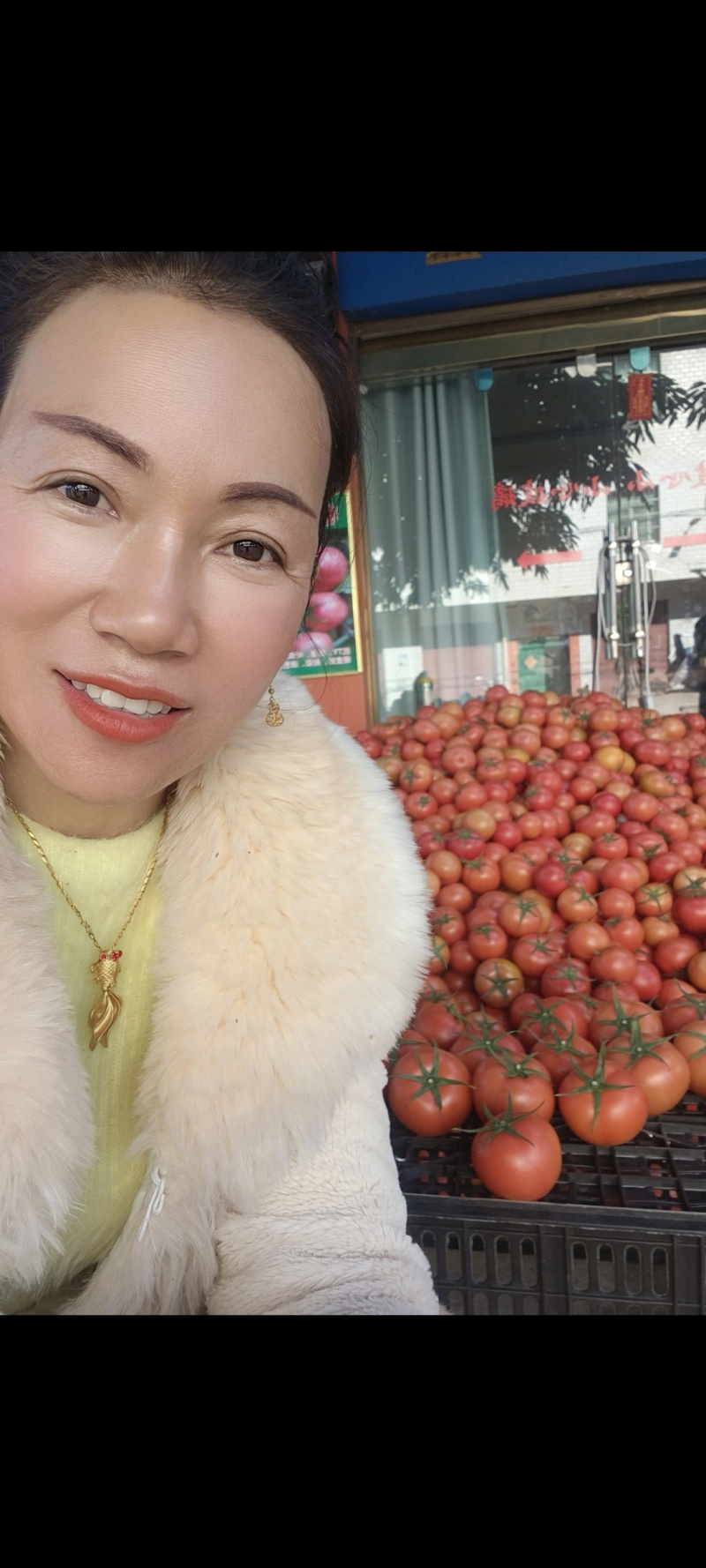 硬粉，耐运输的大个头