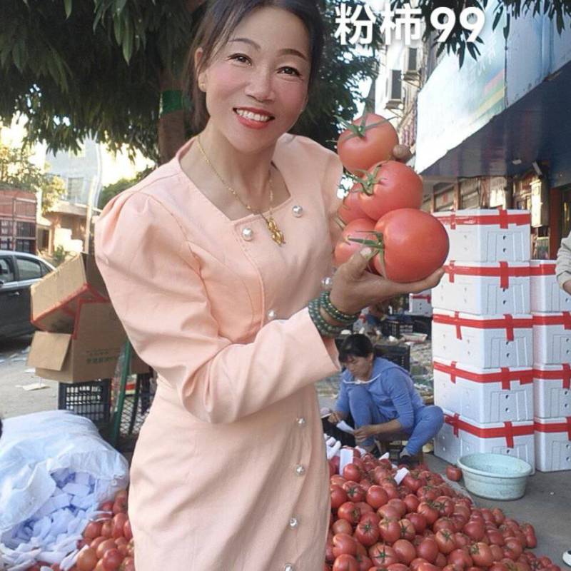 硬粉，耐运输的大个头