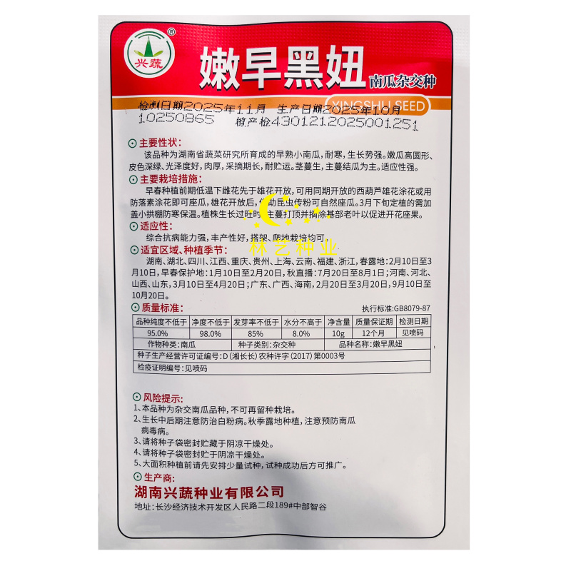 兴蔬嫩早黑妞嫩南瓜种子皮色深绿耐寒耐贮运肉厚圆南瓜种子