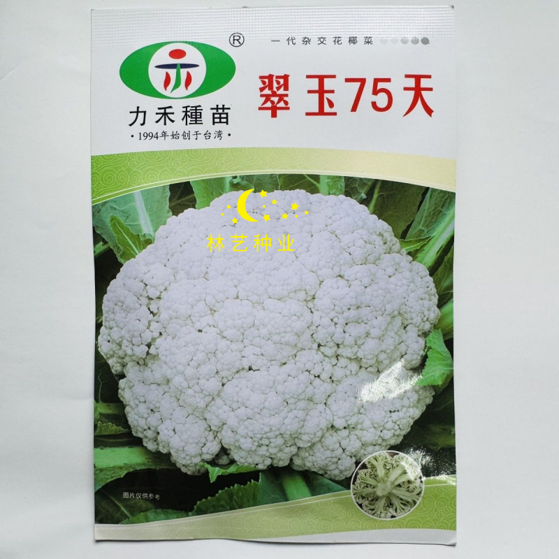 翠玉75白色松花菜种子青梗花椰菜西兰花种孑春秋播有机花菜