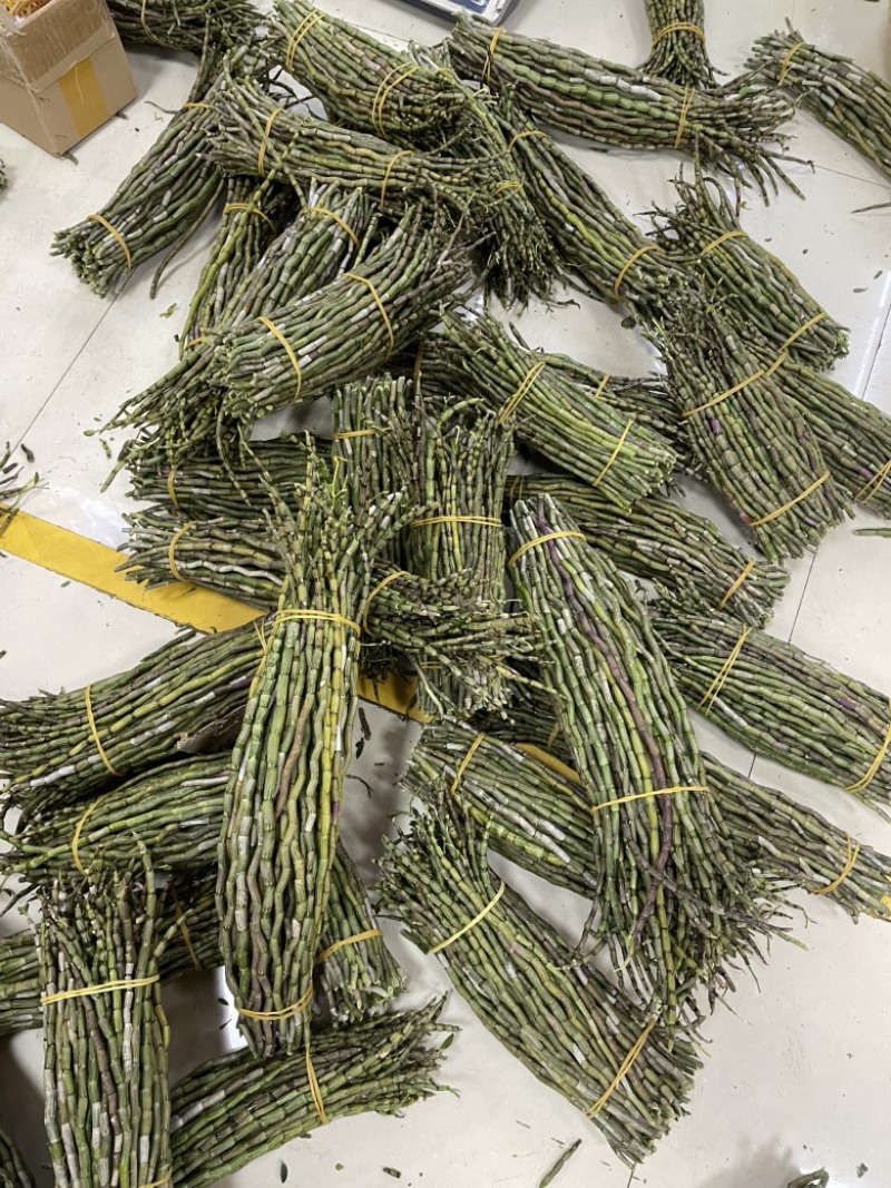铁皮石斛鲜条