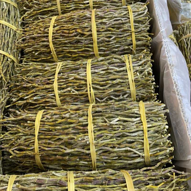 铁皮石斛捆条