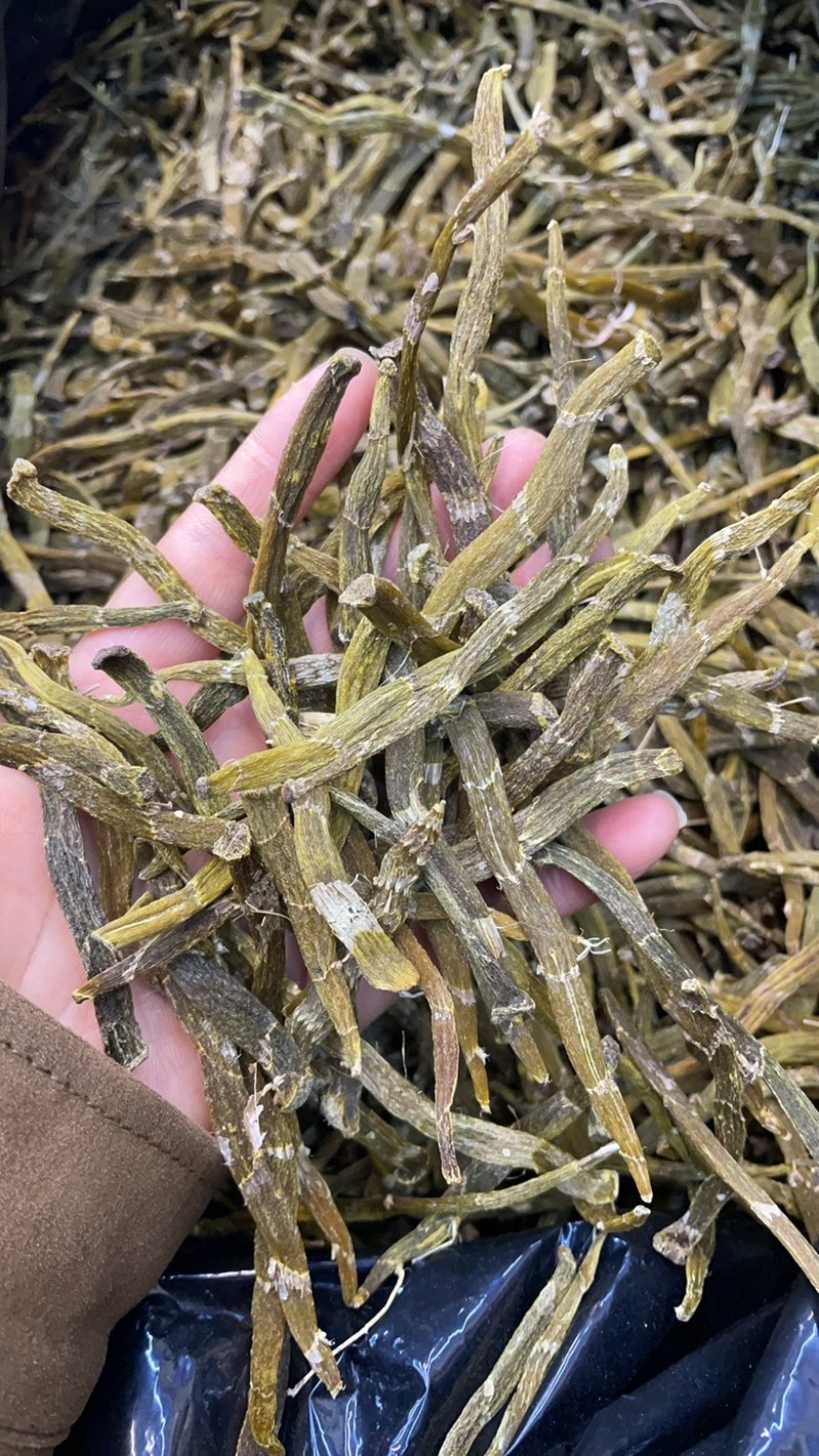 珍虫石斛1斤起批铁皮石斛
