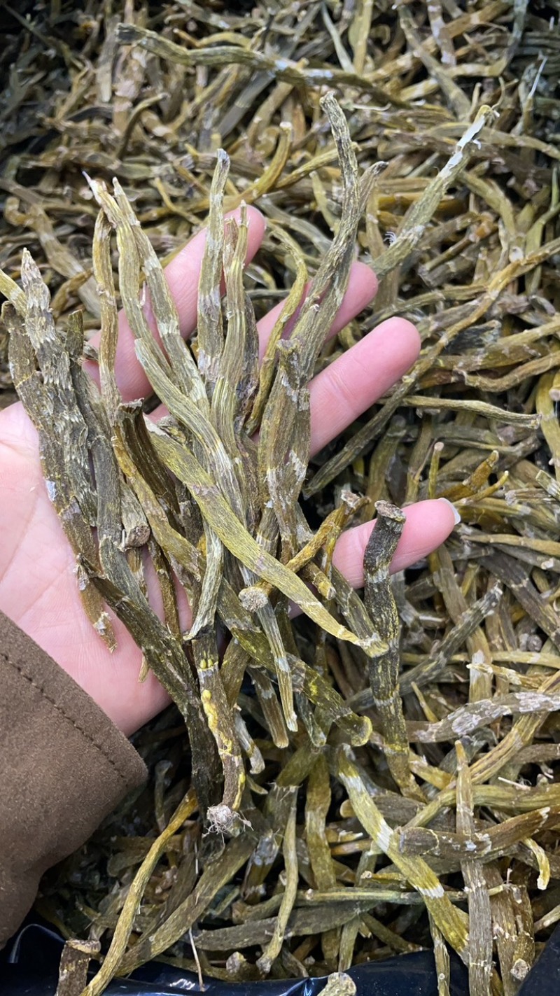 珍虫石斛1斤起批铁皮石斛