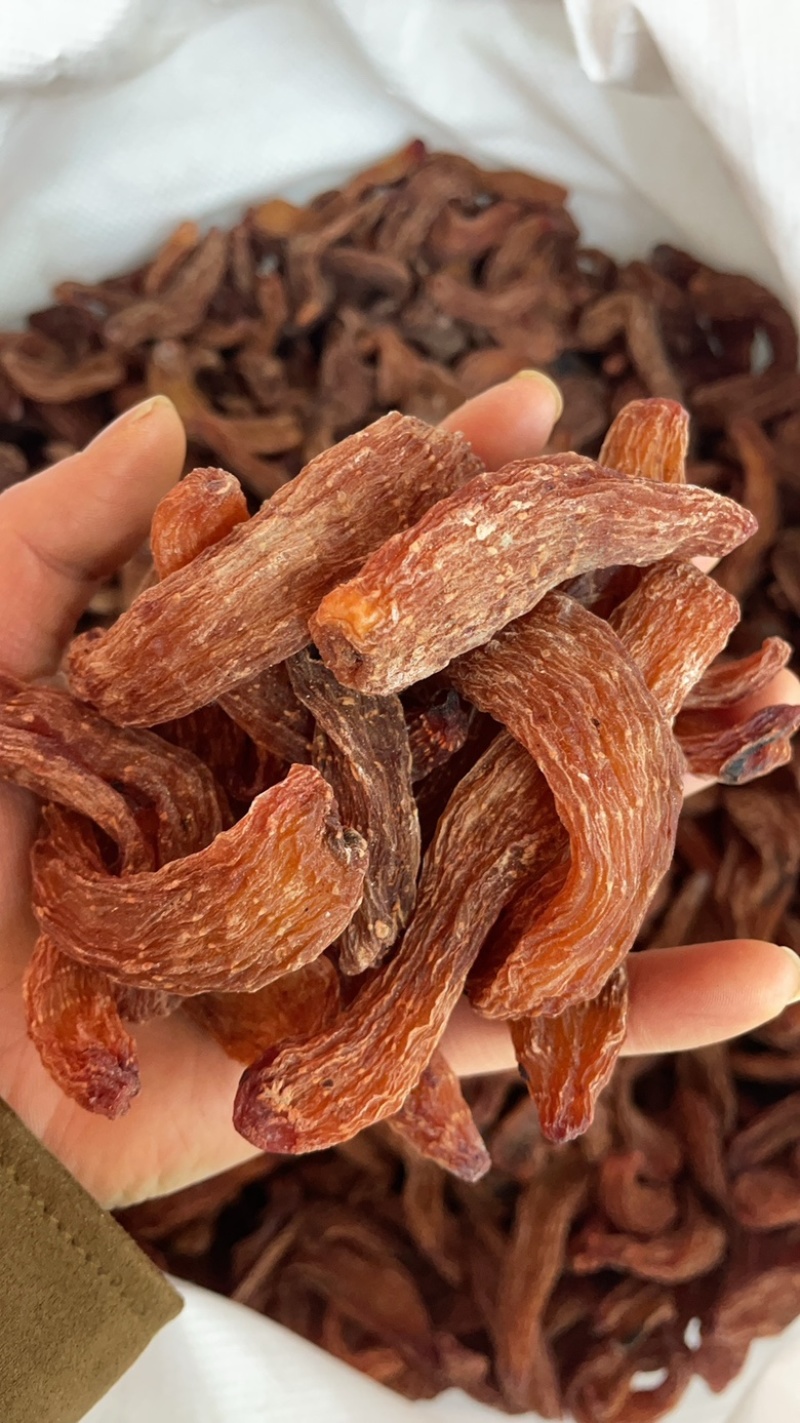 精品红天麻批发红天麻