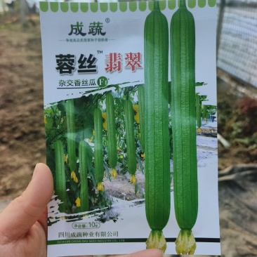 蓉丝翡翠丝瓜种子耐热长香丝瓜种籽早熟长棒高产节节有瓜