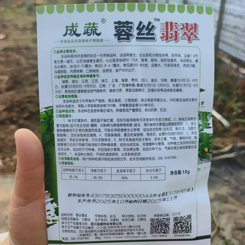 蓉丝翡翠丝瓜种子耐热长香丝瓜种籽早熟长棒高产节节有瓜