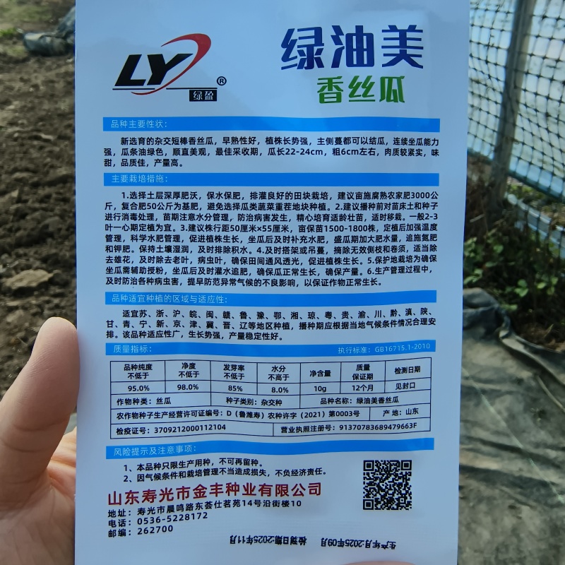 山东寿光绿油美杂交短棒香丝瓜种子早熟味甜高产丝瓜种籽春季
