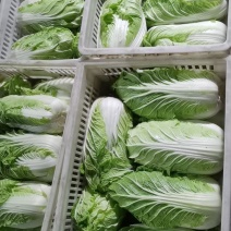 黄心白菜