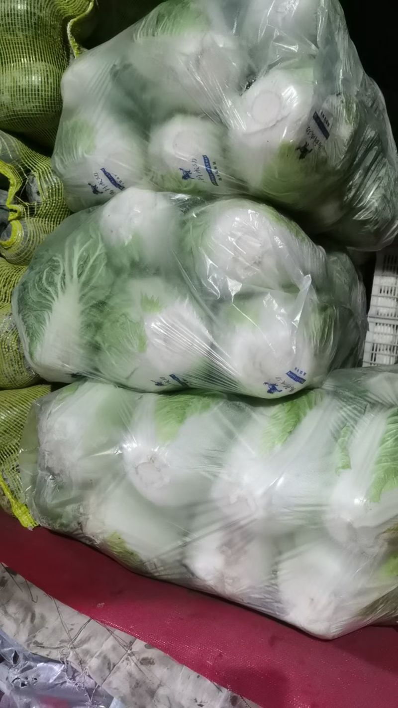 黄心白菜