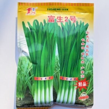 富生2号韭菜种子抗重茬抗寒冬季不休眠春秋播种宽叶韭菜种籽