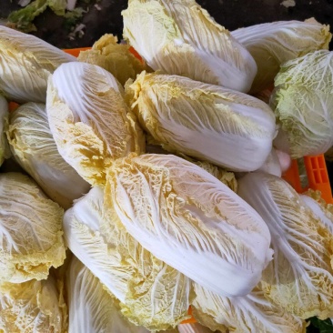 娃娃菜，产地直发，人工挑选，质量保证，价格美丽，信誉商家