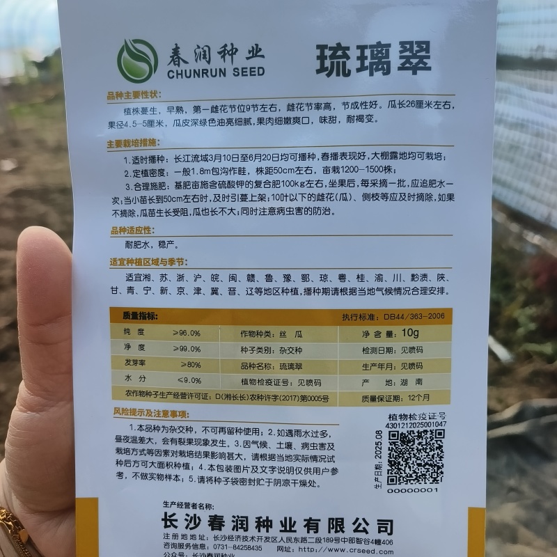 琉璃翠丝瓜种子杂交早熟深绿色油亮短棒丝瓜种子耐褐变丝瓜种