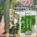 琉璃翠丝瓜种子杂交早熟深绿色油亮短棒丝瓜种子耐褐变丝瓜种