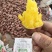榴莲蜜薯，口感**。颜色好，耐放不易坏。