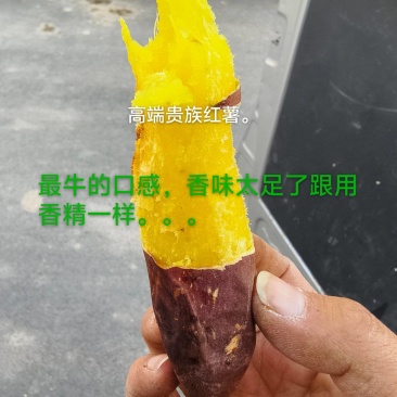 榴莲蜜薯，口感**。颜色好，耐放不易坏。