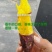榴莲蜜薯，口感**。颜色好，耐放不易坏。