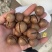 河南精品坚果/夏威夷果/量大价优/可视频看货/欢迎下单