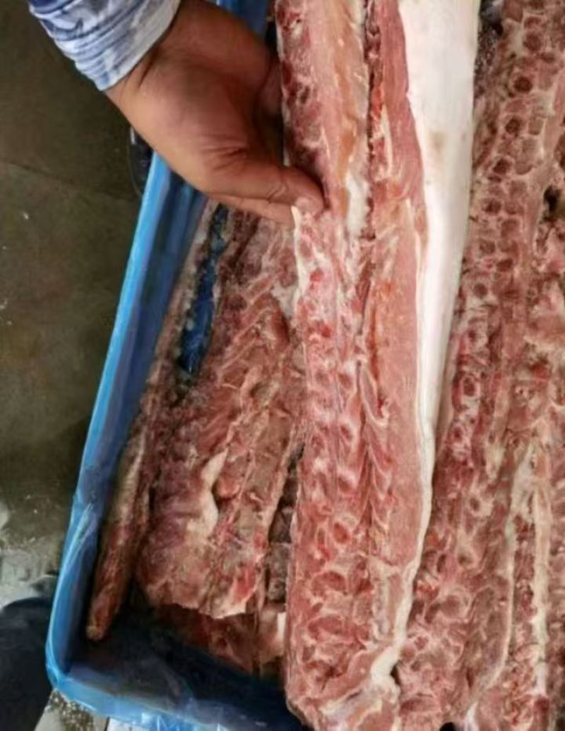 4厂龙骨