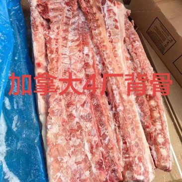 4厂龙骨