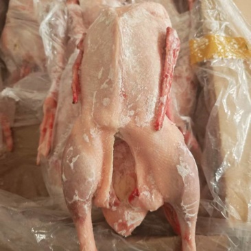 鹅肉