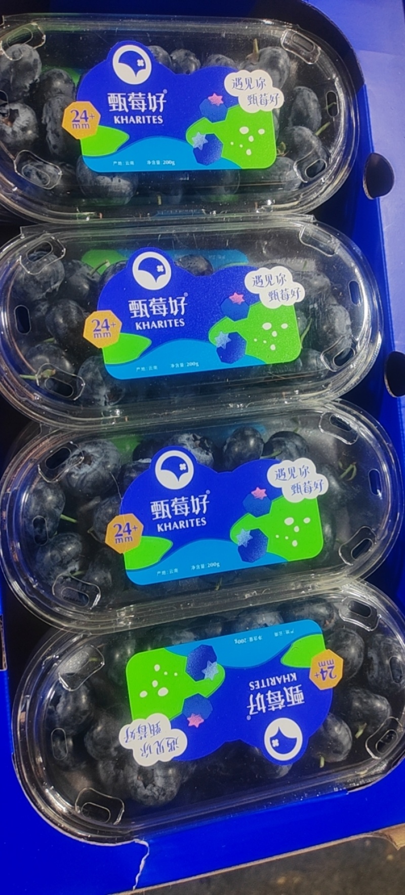 云南花香蓝莓