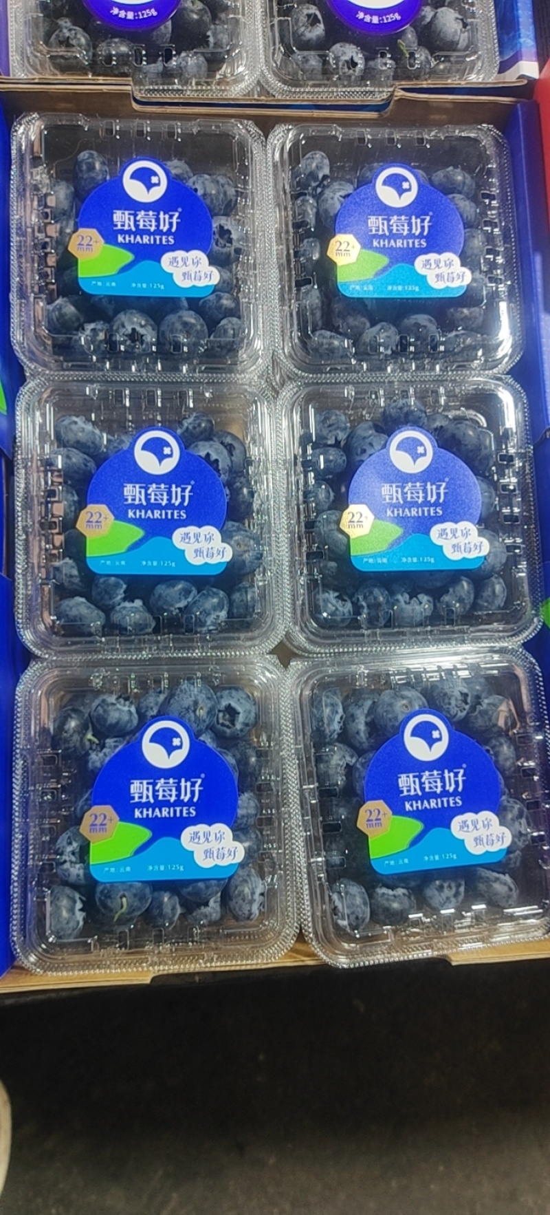 云南花香蓝莓