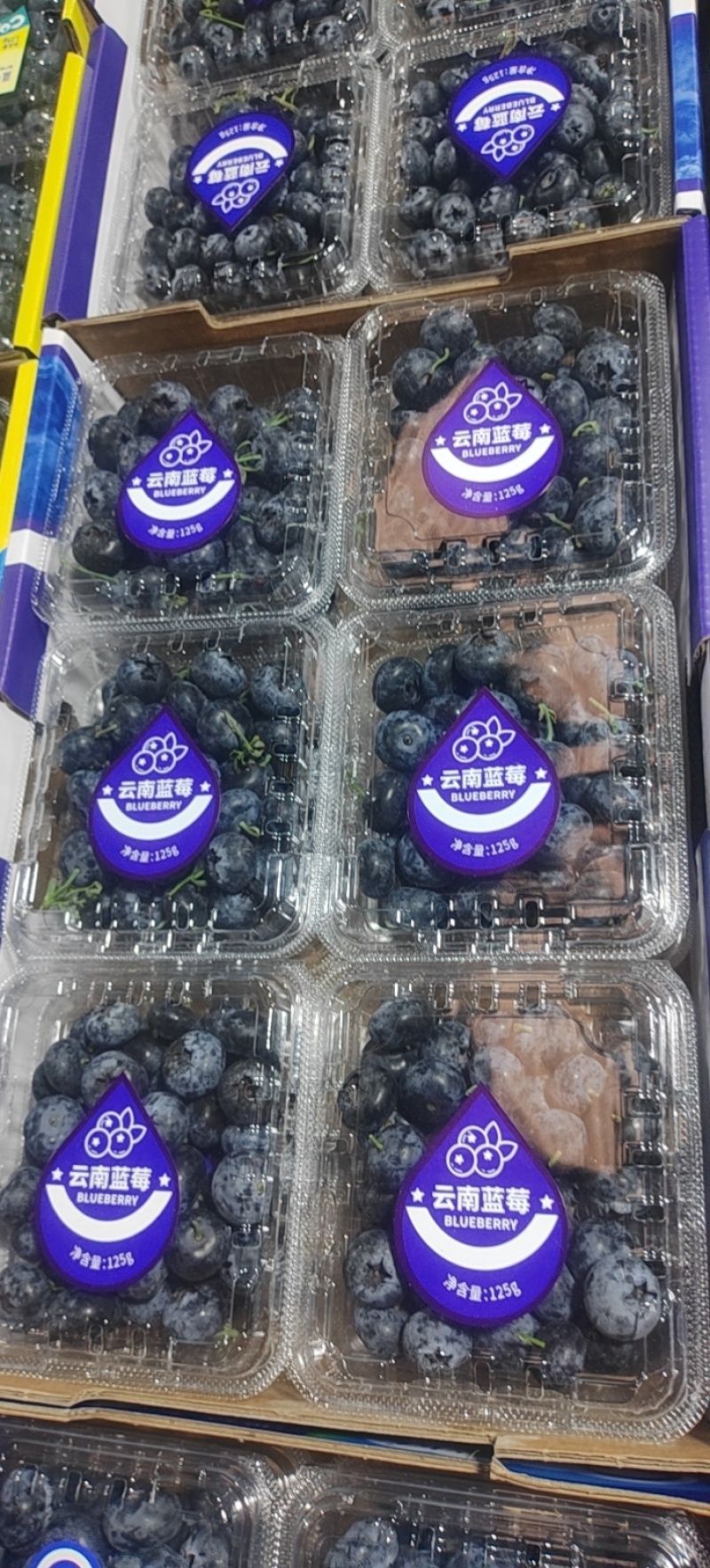 云南花香蓝莓