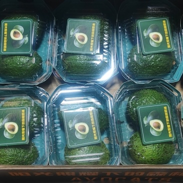 牛油果