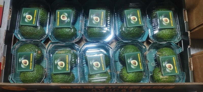 牛油果