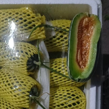 羊角蜜博洋