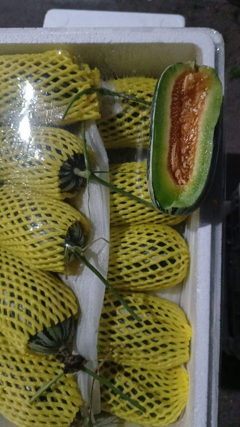 羊角蜜博洋