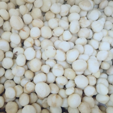 新货夏威夷果仁原味