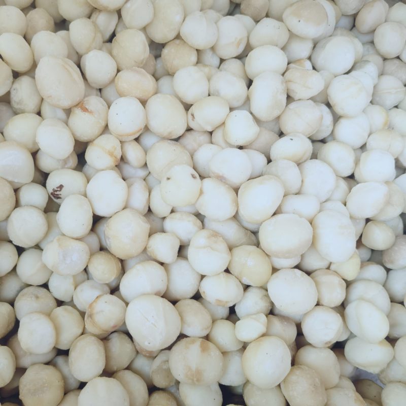 新货夏威夷果仁原味
