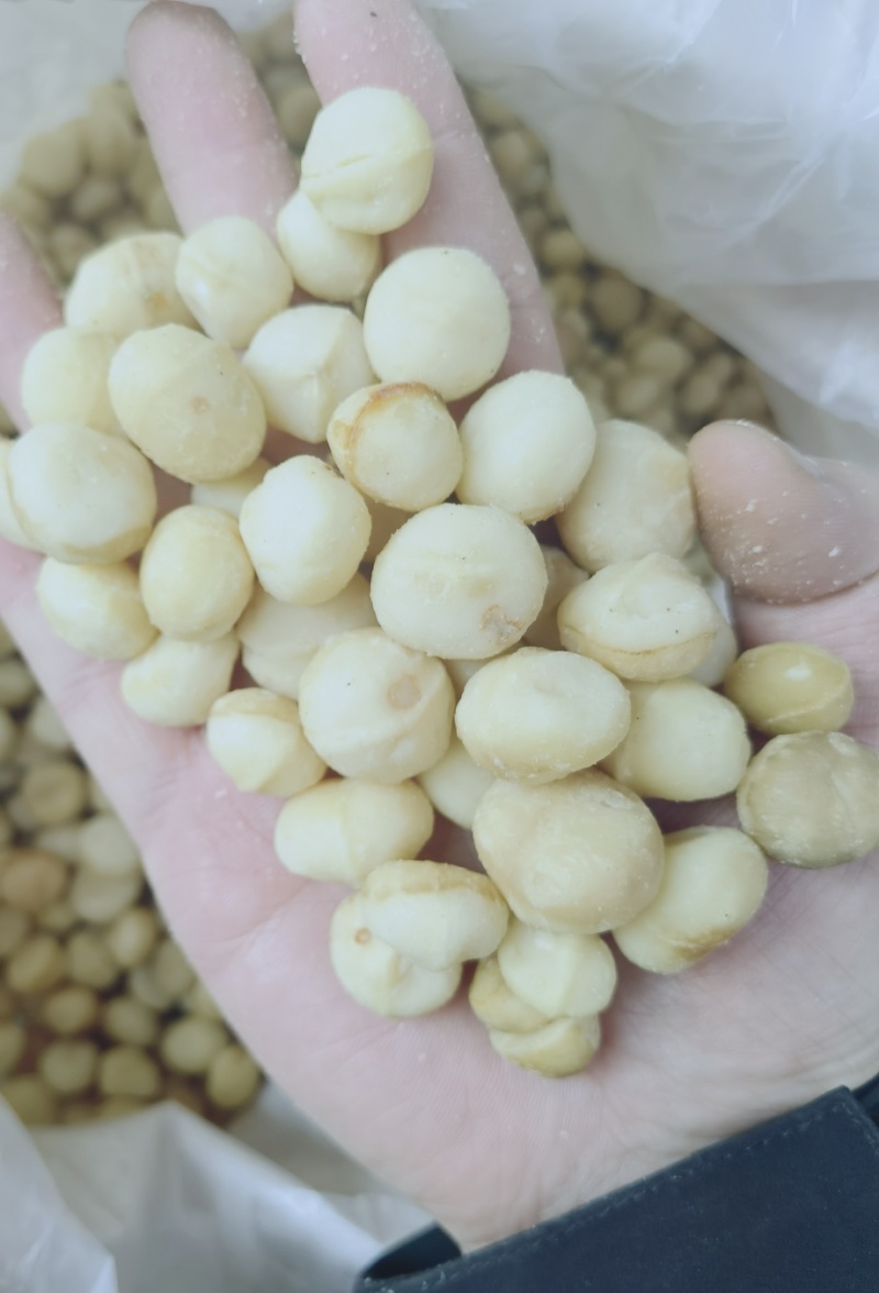 新货夏威夷果仁原味