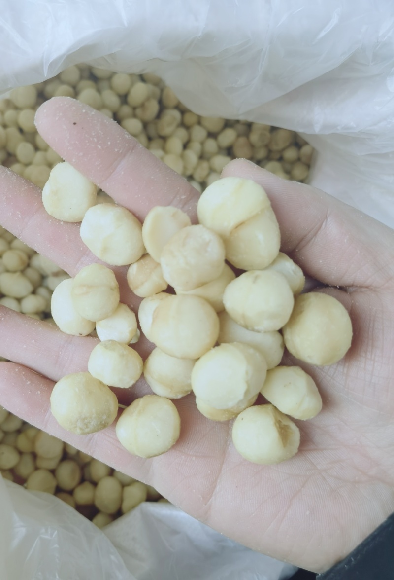 新货夏威夷果仁原味