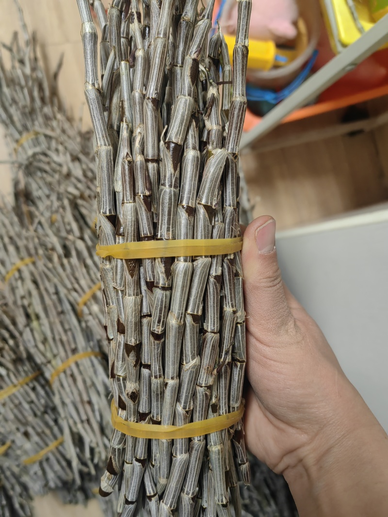 包邮云南紫皮基地直销胶质好11月份后颜色偏紫