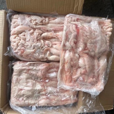 带头小生肠小花肠一箱4板纯干货
