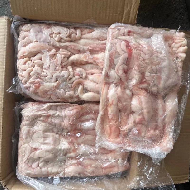 带头小生肠小花肠一箱4板纯干货