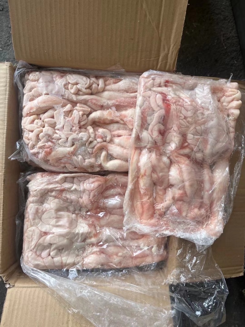 带头小生肠小花肠一箱4板纯干货