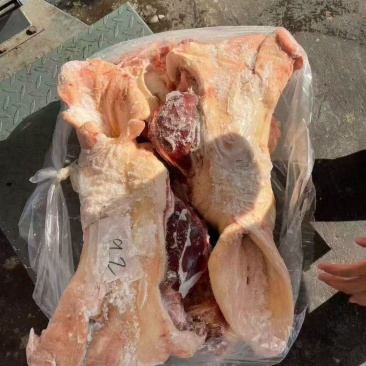 带耳猪头