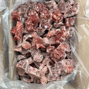 多肉羊蝎子