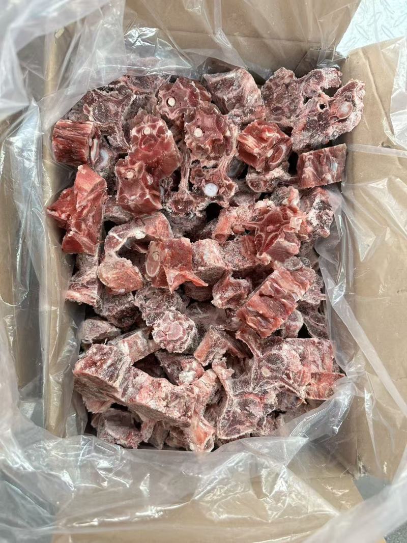 多肉羊蝎子