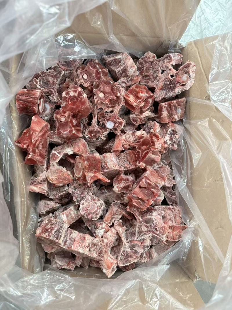 多肉羊蝎子