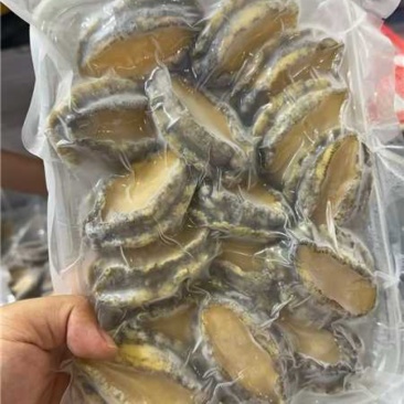 冻鲍鱼