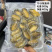 冻鲍鱼