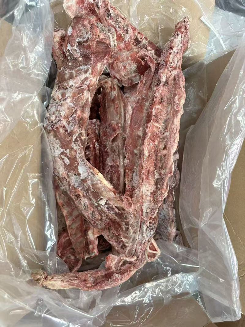 多肉羊蝎子